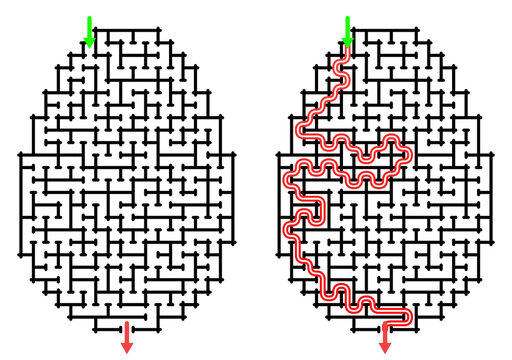Red solution route for an egg shape maze puzzle game showing the correct path from top to bottom