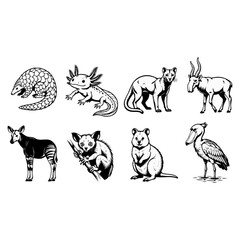Fototapeta premium set of animals