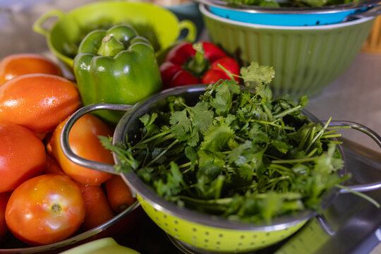 cilantro y verduras