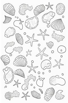 A collection of cute seashells with clean outlines, great for beach-themed colouring pages.