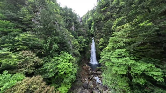 FPV Drone Flight Toward a Majestic Waterfall in Lush Green Forest During Fresh Spring Season