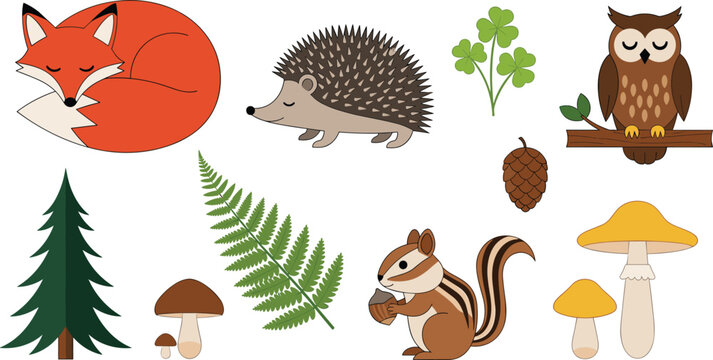 Cute woodland nature cartoon vector illustration set featuring fox hedgehog owl squirrel and forest elements isolated collection