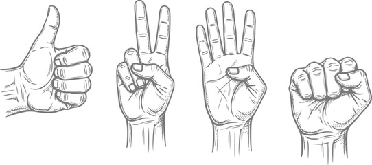 Fototapeta premium Hand gestures thumbs up, peace, four fingers, and fist