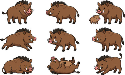 Obraz premium Cute wild boar cartoon vector illustration set featuring adorable forest pig poses isolated wildlife collection