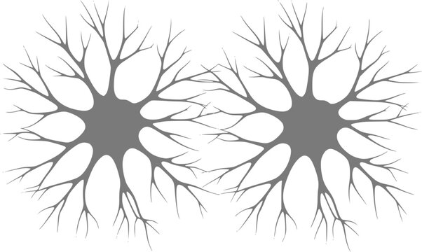 Two stylized neurons with branching dendrites on a white background