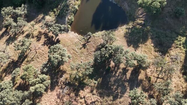4K Aerial top-down view flying forward over a rural water reservoir reflecting large oak trees