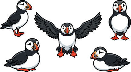 Cute puffin cartoon vector illustration set featuring adorable seabird poses isolated arctic wildlife collection © MdNazmul