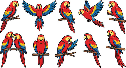 Cute parrot cartoon vector illustration set featuring colorful macaw bird poses isolated tropical wildlife collection © MdNazmul