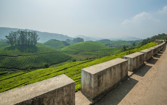 A breathtaking panoramic view of Munnar's unique topography, characterized by an endlessly rolling terrain of deep green valleys.