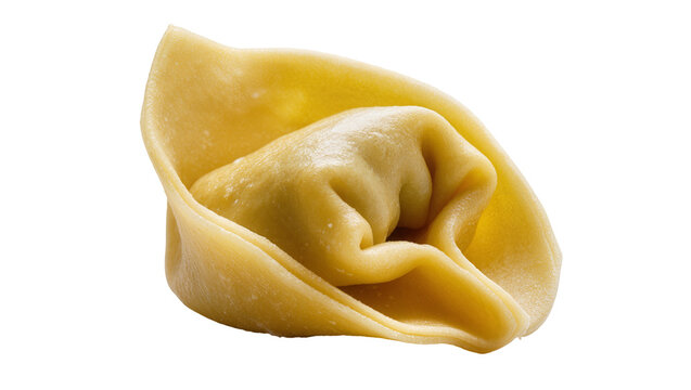 Single fresh tortellini pasta dumpling with filling