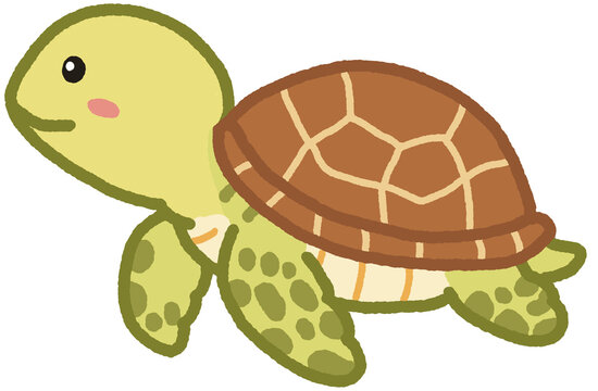 Cute Sea Turtle Cartoon Illustration