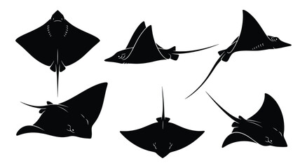Stingray Silhouette Set — Swimming Gliding and Hovering Ocean Ray Fish Black Vector Illustrations © Muhammad