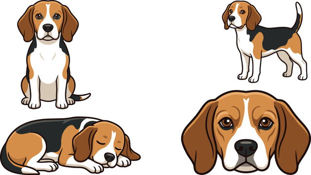 Cute beagle dog cartoon vector illustration set featuring adorable puppy poses and realistic pet portrait isolated collection