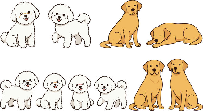 Cute bichon frise and golden retriever dog cartoon vector illustration set featuring adorable puppy poses isolated pet collection