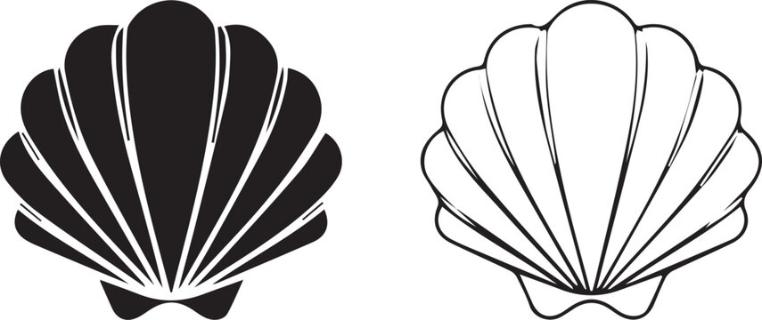 Black and white scallop shell vector illustrations
