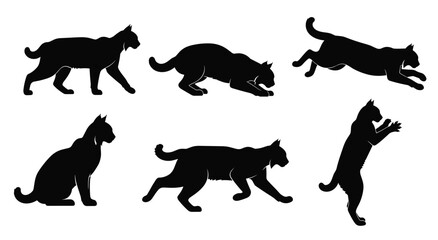 Cat Silhouette Set — Walking Jumping Crouching Sitting and Playing Feline Black Vector Illustrations © Muhammad