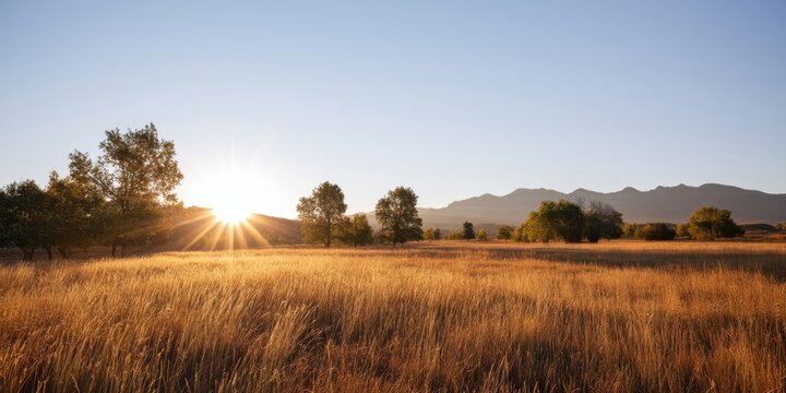 The Sunlit Golden Grass Field at Sunrise with Trees and Mountain Silhouette
