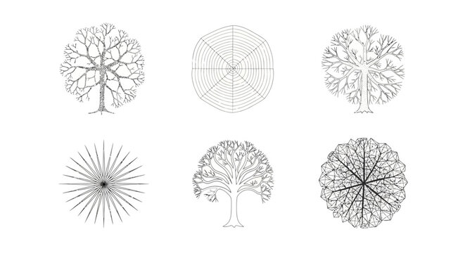 collection of six stylized tree illustrations in various artistic styles top down and side views