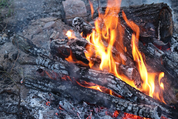 Bright bonfire with orange flames engulfing charred wooden logs. Atmospheric view of evening campfire with smoke and sparks outdoors. Burning wood in bonfire, hot coals © Mariia