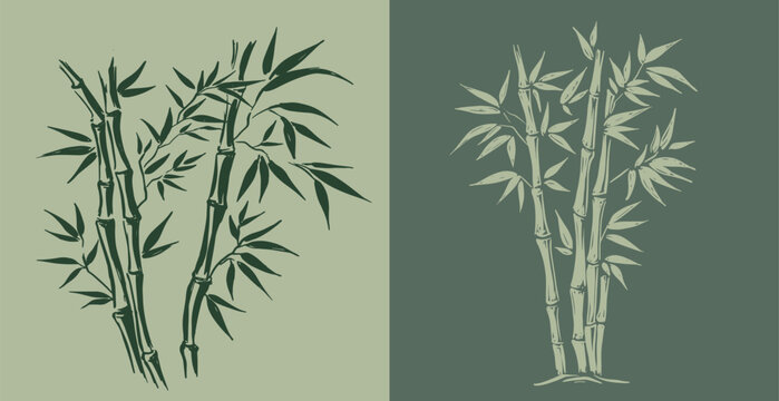 Bamboo tree, Hand drawn style.	
