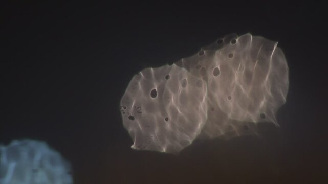 abstract macro texture of golden light refracting through moving rainwater film on a dark window glass surface