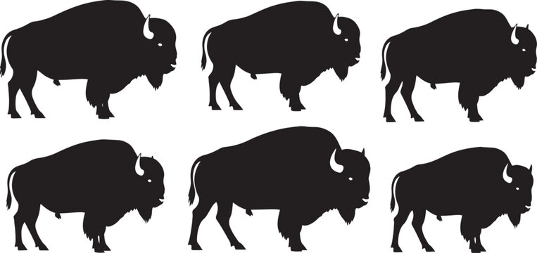 American bison buffalo vector silhouettes. set of six different standing wild animal shapes isolated on background.