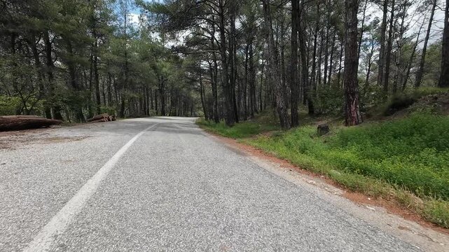 A car driving on an asphalt road through a forest, filmed with a camera mounted on it. greece komotini nimfea 4k 10bit