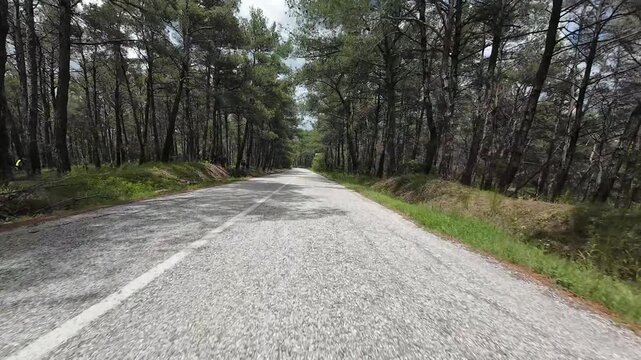 A car driving on an asphalt road through a forest, filmed with a camera mounted on it. greece komotini nimfea 4k 10bit