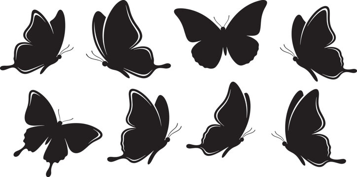 Butterflies in flight different angles collection on transparent background elegant insect vector set.