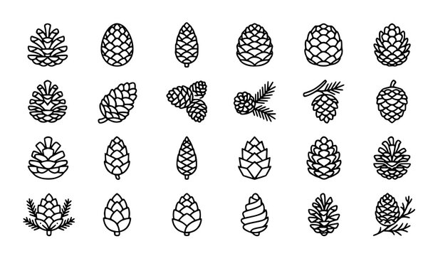  Mega pack of detailed conifer and pine cone icons vector