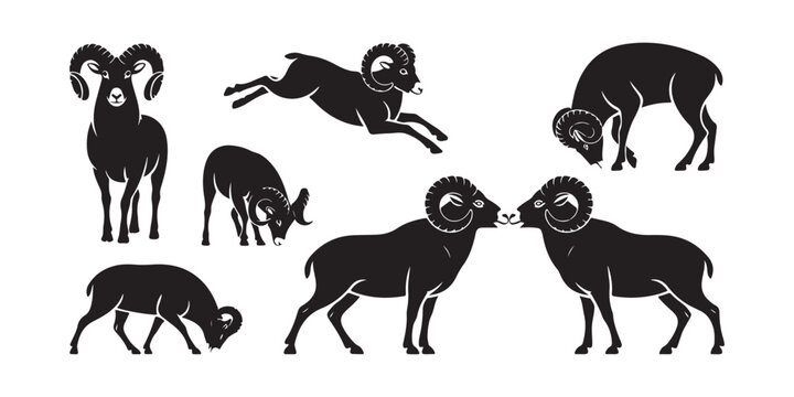 Bighorn sheep and ram silhouettes in various poses including jumping, grazing, and head-butting
