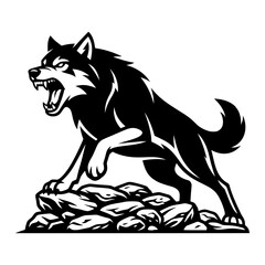 Fototapeta premium An aggressive wolf snarling on rocky terrain, showcasing primal instinct and the wild nature of predators.