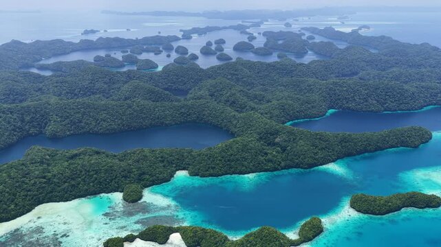Biodiverse coral reefs thrive amid Palau's scenic Rock Islands. This extraordinarily beautiful island-nation is a popular destination for divers, snorkelers, kayakers, and World War II historians. 