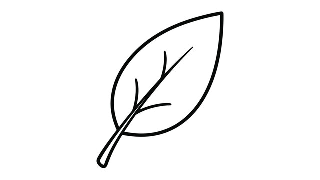 Outline drawing of a single leaf with line art, black and whit