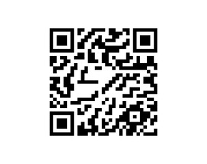 Fototapeta premium QR code vector isolated on light background digital scan technology symbol