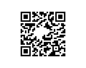 Fototapeta premium QR code vector isolated on light background digital scan technology symbol
