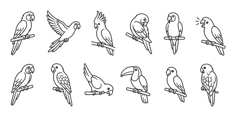 Fototapeta premium Parrot macaw cockatoo toucan birds in various poses line art icon set, vector illustration