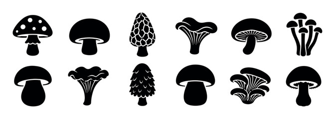 Fototapeta premium Mushroom fungi toadstool morel chanterelle oyster silhouette icons set, black and white vector illustration