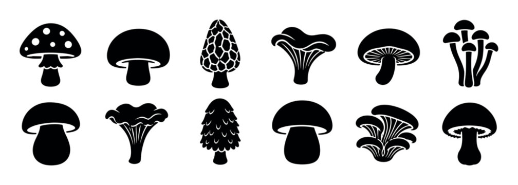 Mushroom fungi toadstool morel chanterelle oyster silhouette icons set, black and white vector illustration