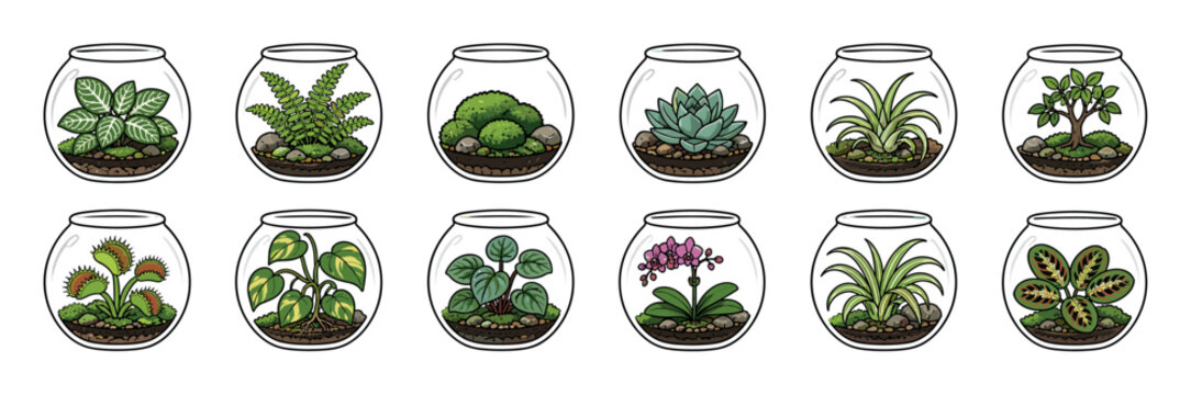 Terrarium plants fern moss succulent orchid venus flytrap icons set, vector illustration