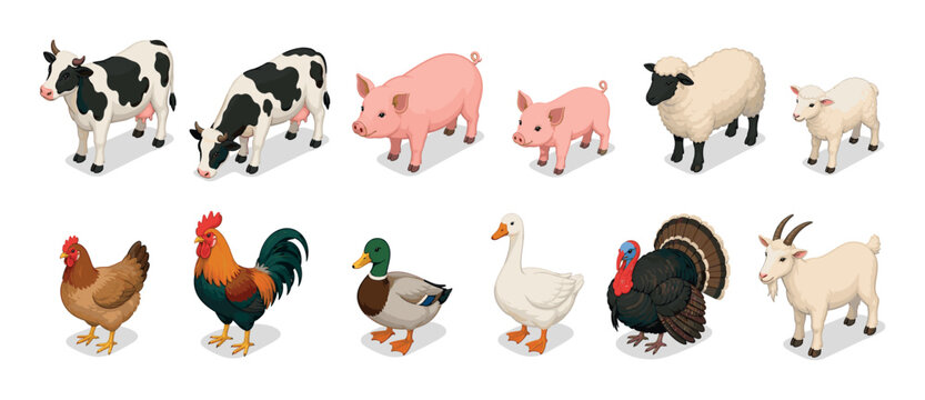 Cow pig sheep chicken duck goose turkey goat farm animals isometric vector illustration set