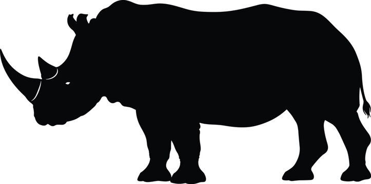 Rhinoceros Silhouette Illustration with Wildlife Animal Profile and Strong Horn Design for Safari Nature Conservation and Exotic Fauna Graphic Projects