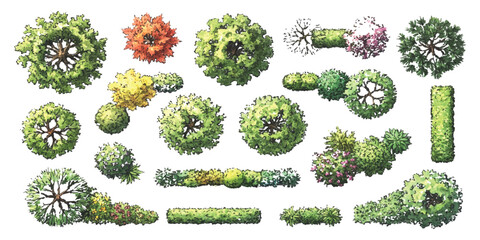 Set of top view trees and garden hedges for landscape architectural design and floor plan site mapping projects © ZenVectors