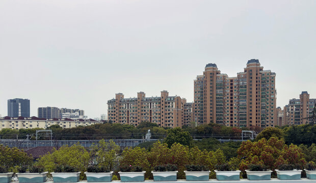 Dense apartment towers beside greenery near Humin Elevated Road in urban Shanghai China