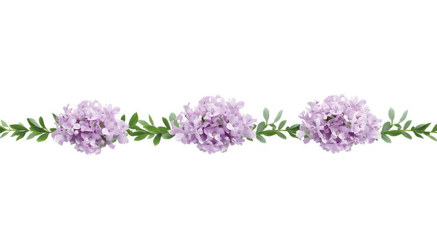 Purple flower clusters on green stems flowers