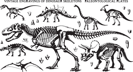 Collection of Vintage Engravings of Dinosaur Skeletons and Footprints on Paleontological Plates © Anzuman