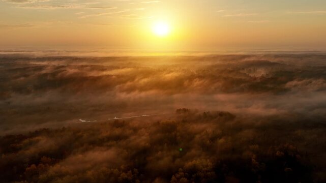 Beautiful dawn aerial shot of sunlight shining thought the trees and low fog in Minnesota in the autumn. Trees are turning their fall colors