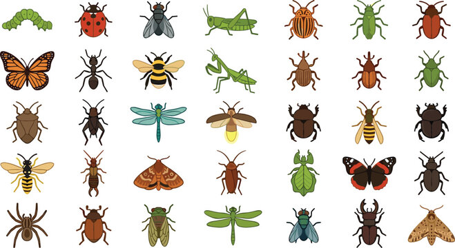 Colorful insects and bugs flat vector icon set featuring butterfly bee ladybug beetle caterpillar and dragonfly isolated illustration