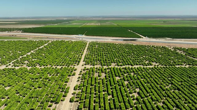 Aerial of farms along an aqueduct running through California's Central Valley north of Los Angeles.