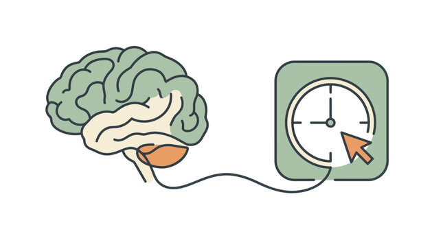 Brain connected to clock concept.
